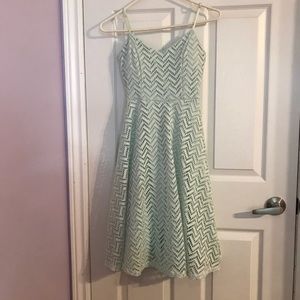 S Streetwear Society mint green fit and flare mini lace dress